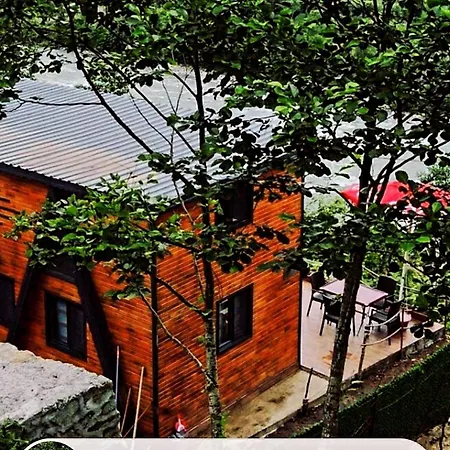 Bizimev53 *